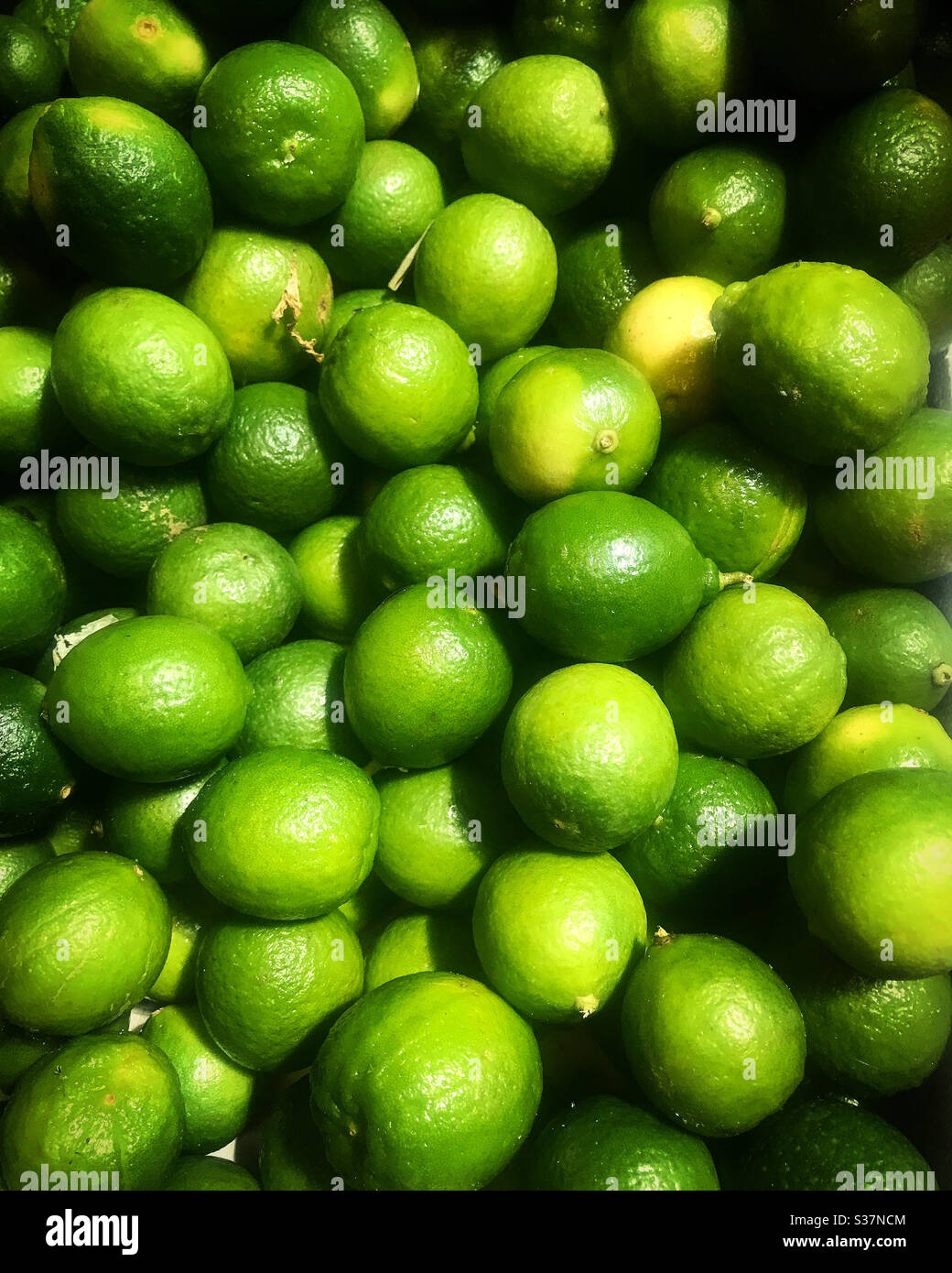 Citrons verts à vendre sur un marché de Mexico, Mexique Banque D'Images