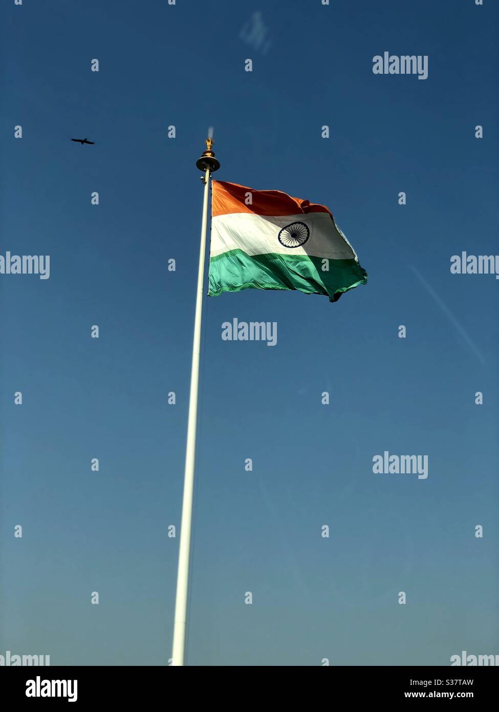 Drapeau indien volant haut sur un poteau Banque D'Images