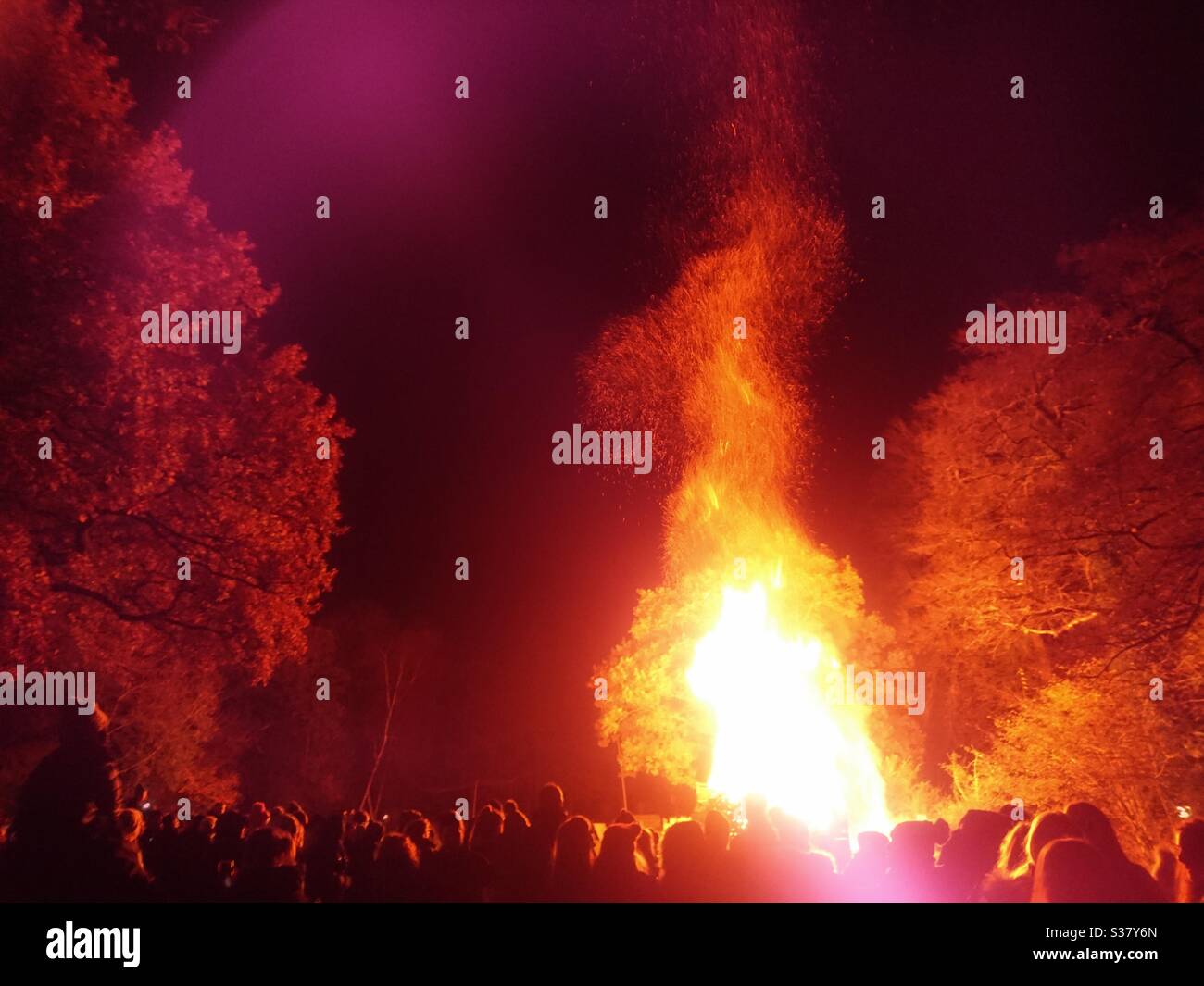 Une photographie d'une foule se tenait face à un grand feu de camp dans une forêt la nuit des feux de camp. Grandes flammes et étincelles atteignant le ciel nocturne. Banque D'Images