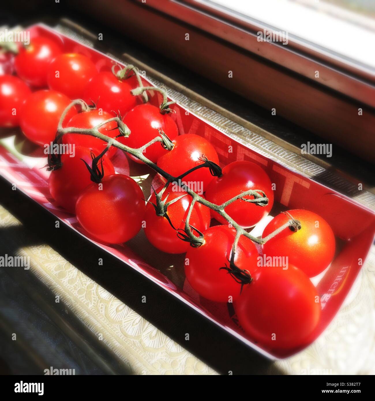 Tomates mûres rouges sur la vigne Banque D'Images