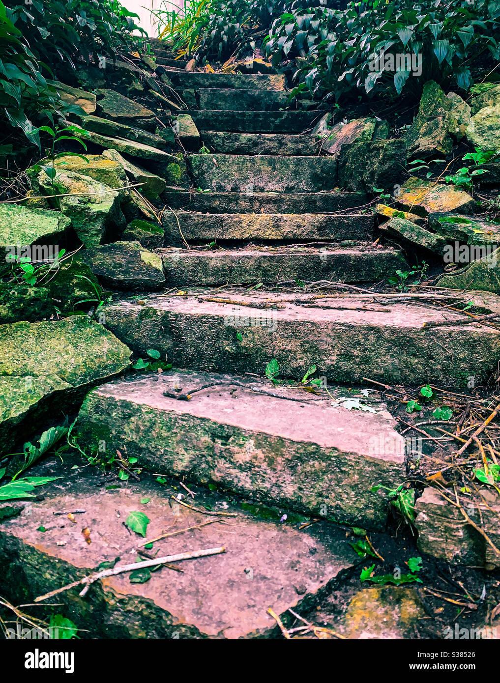 VILLE DE STONE, IOWA, 12 juillet 2020 – photo en gros plan de magnifiques marches de calcaire aux teintes roses au milieu d'une végétation sauvage le long d'un sentier près de la rivière. Banque D'Images