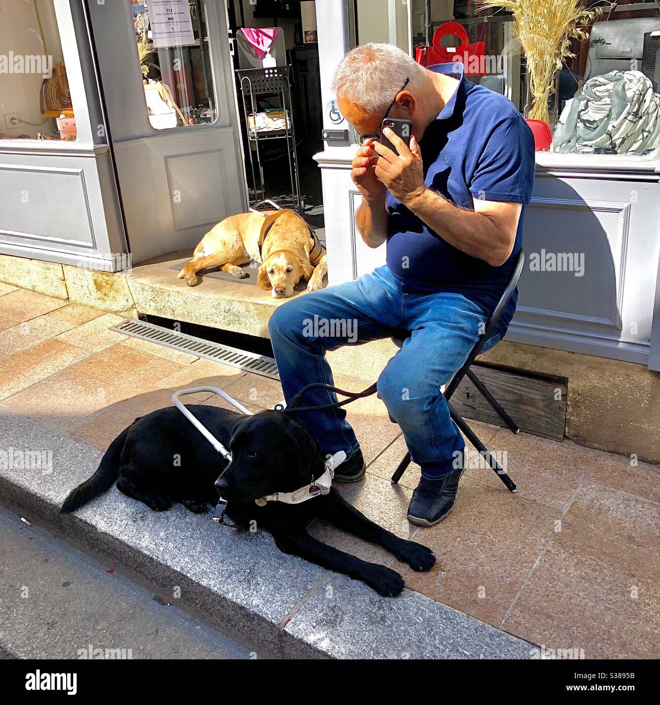 Homme aveugle avec chien guide utilisant un téléphone mobile et un autre chien dans la boutique porte regardant sur - France. Banque D'Images