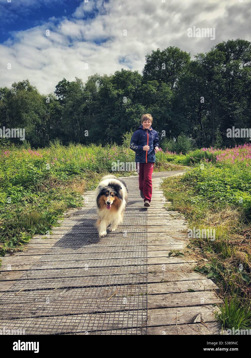 Un garçon et son chien sur une promenade dans la campagne Banque D'Images