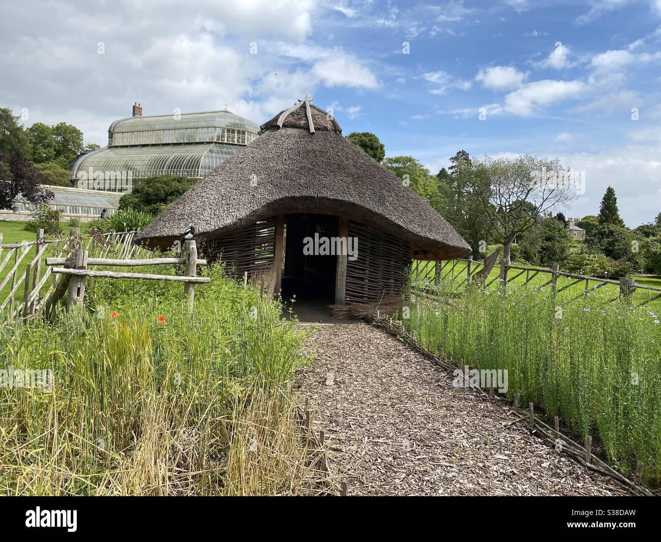 Reproduction d'une maison Viking dans les jardins botaniques nationaux de Dublin, Irlande. Il y a mille ans, ces maisons étaient une vue commune à Dublin. Banque D'Images