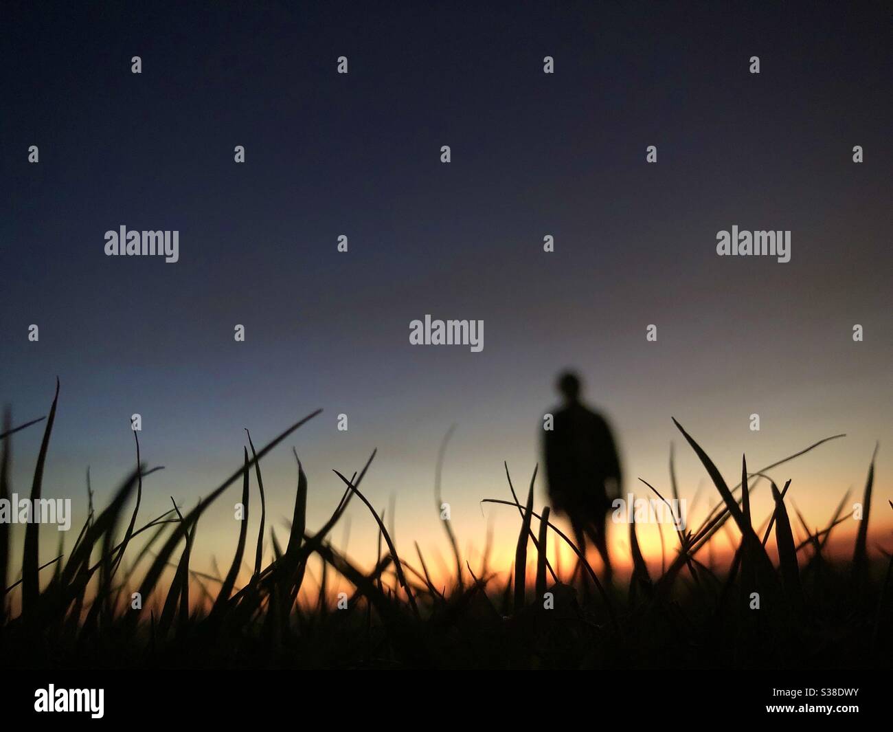 Silhouette d'une personne au crépuscule. Banque D'Images