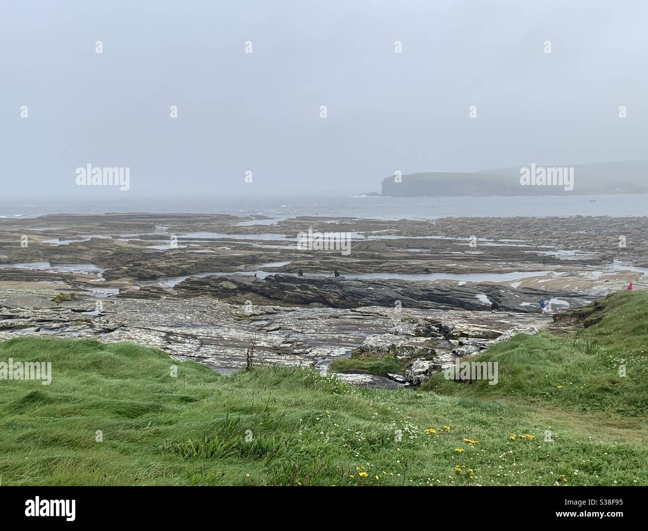 Nageurs dans le Mist, Irlande Banque D'Images