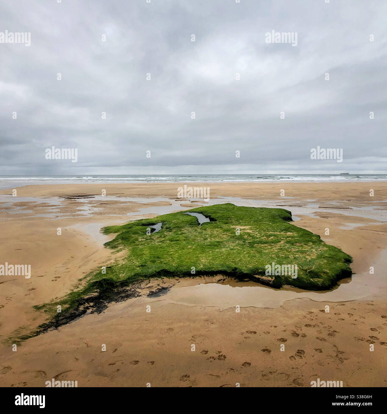 Île verte. - Image de stock capturée avec un smartphone