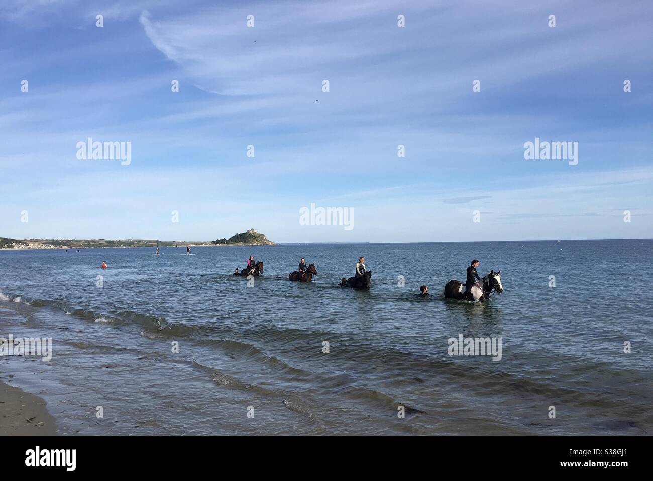 Nage avec les chevaux, Mount’s Bay, long Rock, Marazion, Penzance - St Michaen’s Mount en arrière-plan. Banque D'Images