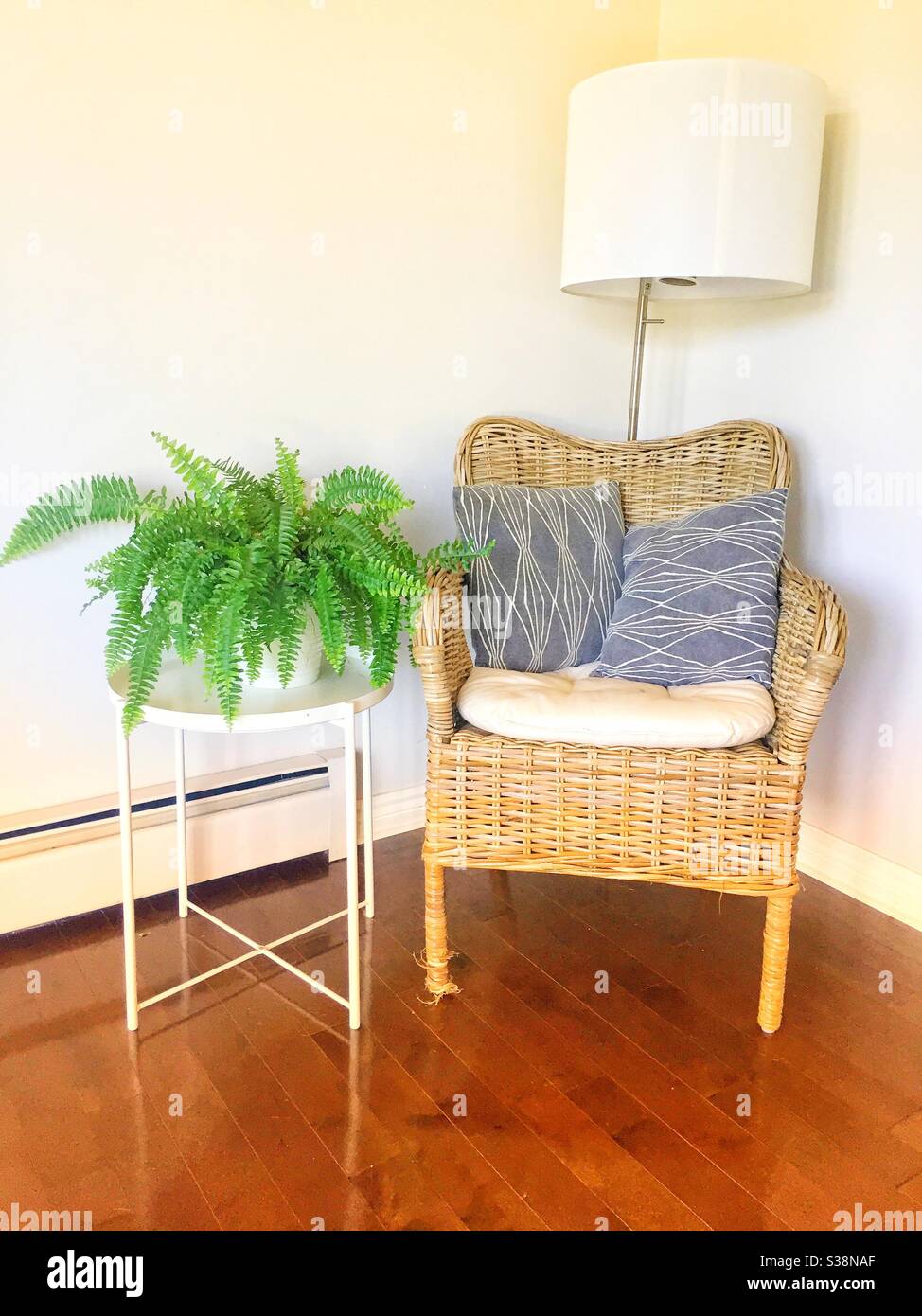 Chaise en osier à côté d'une plante en pot dans un cadre de mobilier minimaliste. Banque D'Images