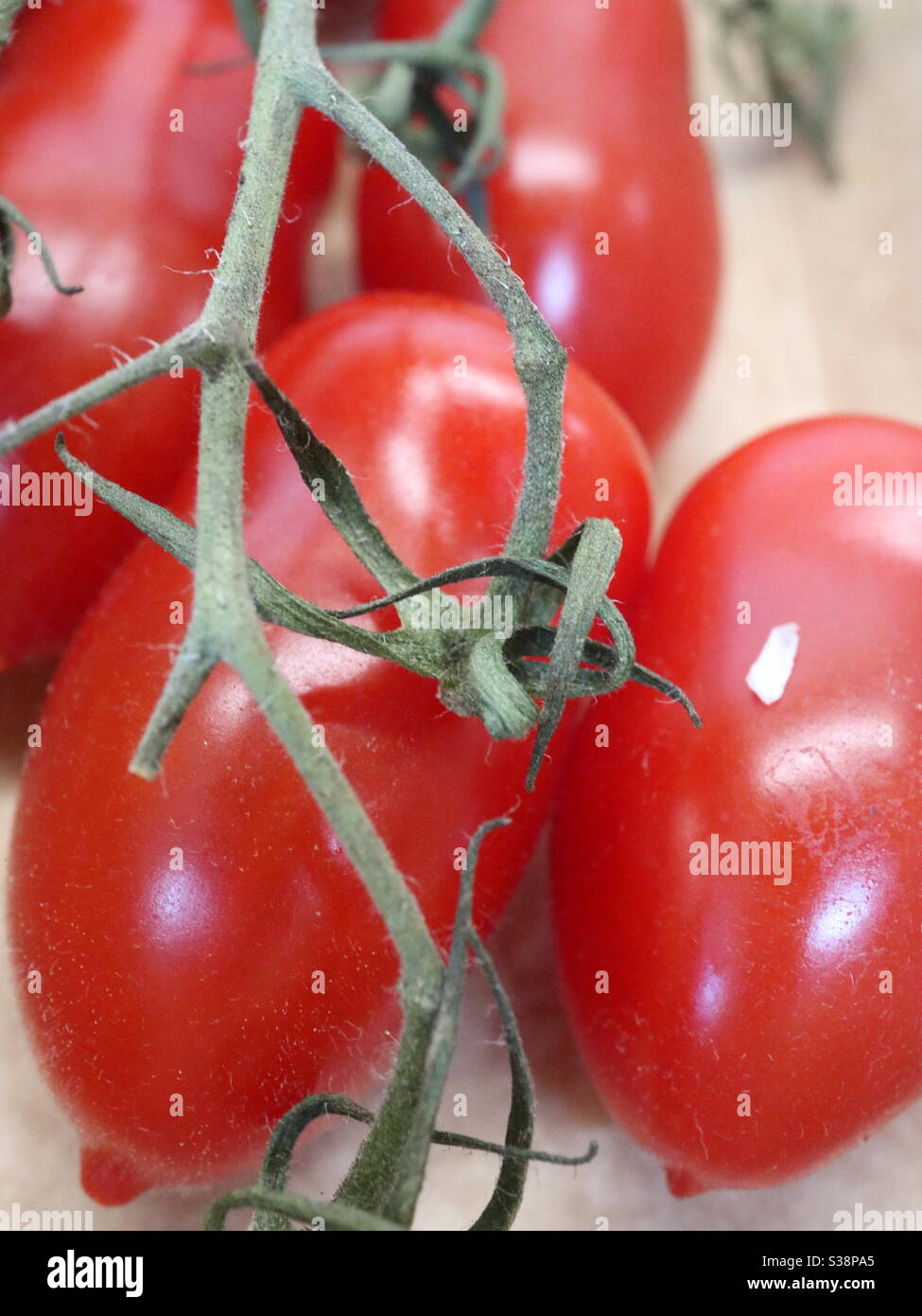 Tomates rouges sur la vigne Banque D'Images