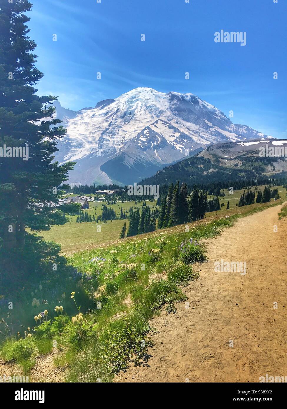 Vue depuis Sunrise Lodge au parc national de Mount Rainer, État de Washington, États-Unis - Image de stock capturée avec un smartphone