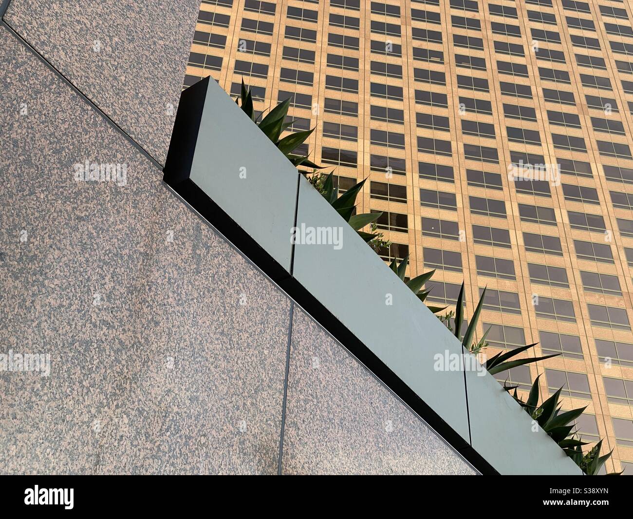 LOS ANGELES, CA, JUIN 2020 : détail abstrait des fenêtres de la tour de bureau au Wells Fargo Center dans le quartier financier du centre-ville avec mur en marbre et jardinières en premier plan Banque D'Images