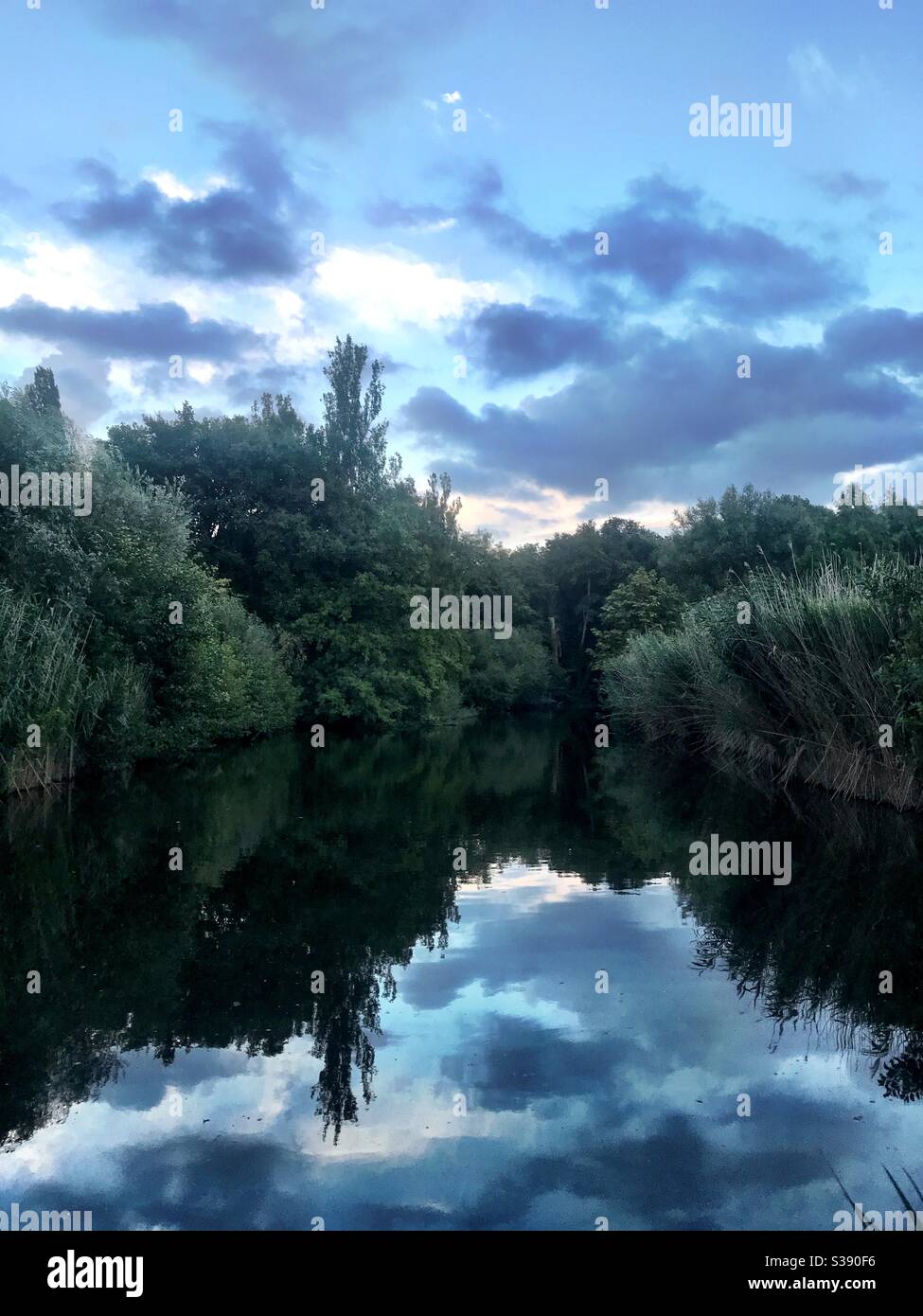 White Chevaliers Lake Reading University - Image de stock capturée avec un smartphone