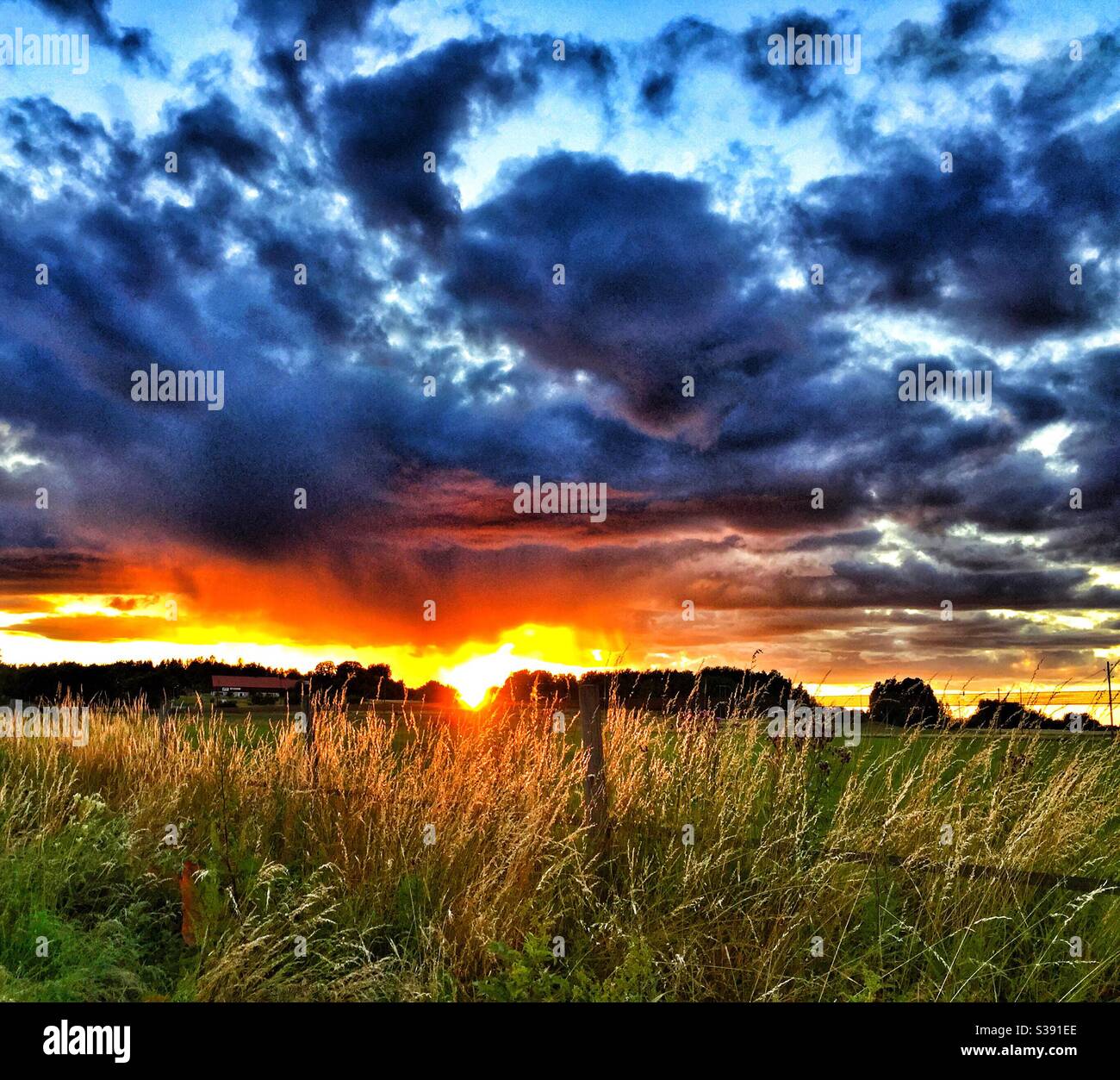 Coucher de soleil sur les champs agricoles ruraux à Märsta, dans le comté de Stockholm, en Suède. Ferme avec une grange en arrière-plan. Banque D'Images