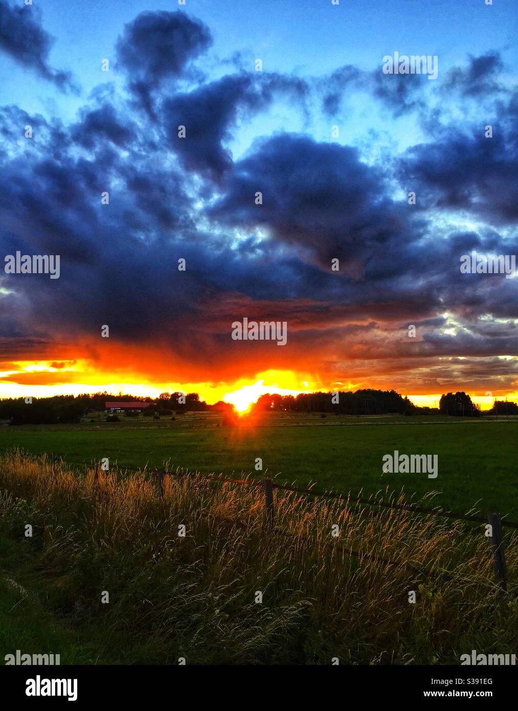 Coucher de soleil sur les champs agricoles ruraux à Märsta, dans le comté de Stockholm, en Suède. Ferme avec une grange en arrière-plan. Banque D'Images