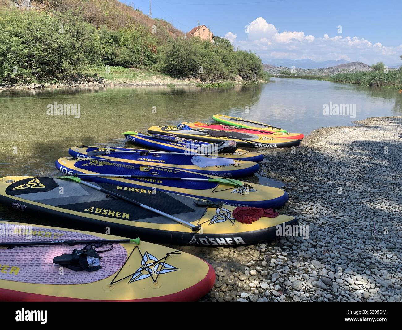 Levez les planches à paddle garées le long de la rivière à skadar Monténégro Banque D'Images