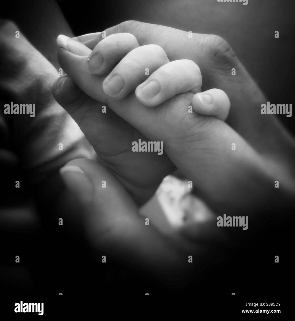 La main du nouveau-né tient le doigt de sa mère Banque D'Images