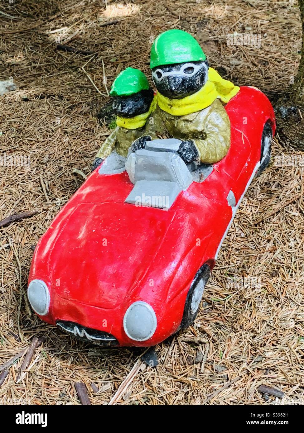 Deux moles en voiture de course rouge Banque D'Images