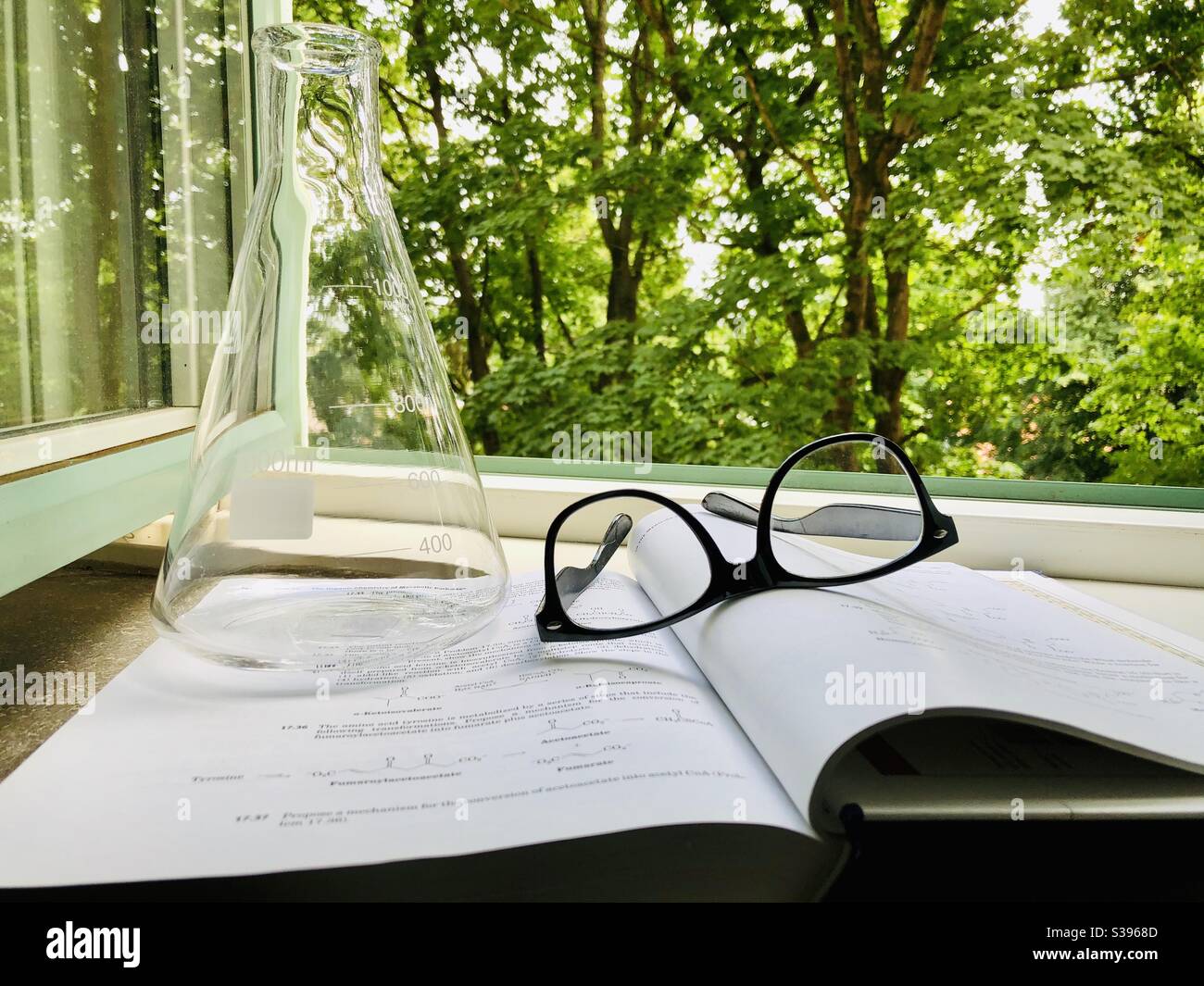 Lunettes reposant sur un livre de chimie. Flacon conique sur un livre de chimie. Fenêtre et arbres verts en arrière-plan. Banque D'Images