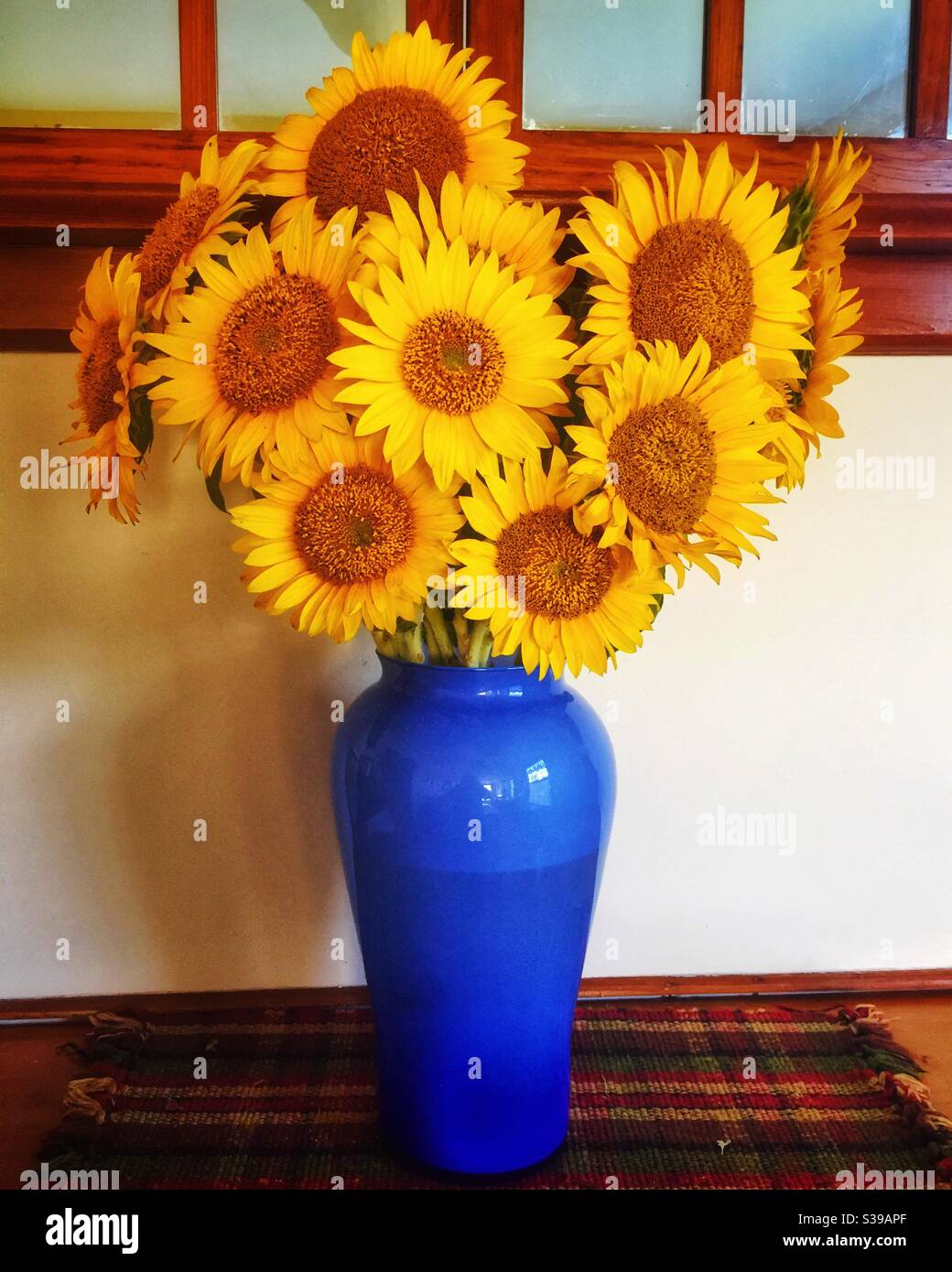 Bouquet de tournesols jaune vif dans un vase en verre bleu. Banque D'Images
