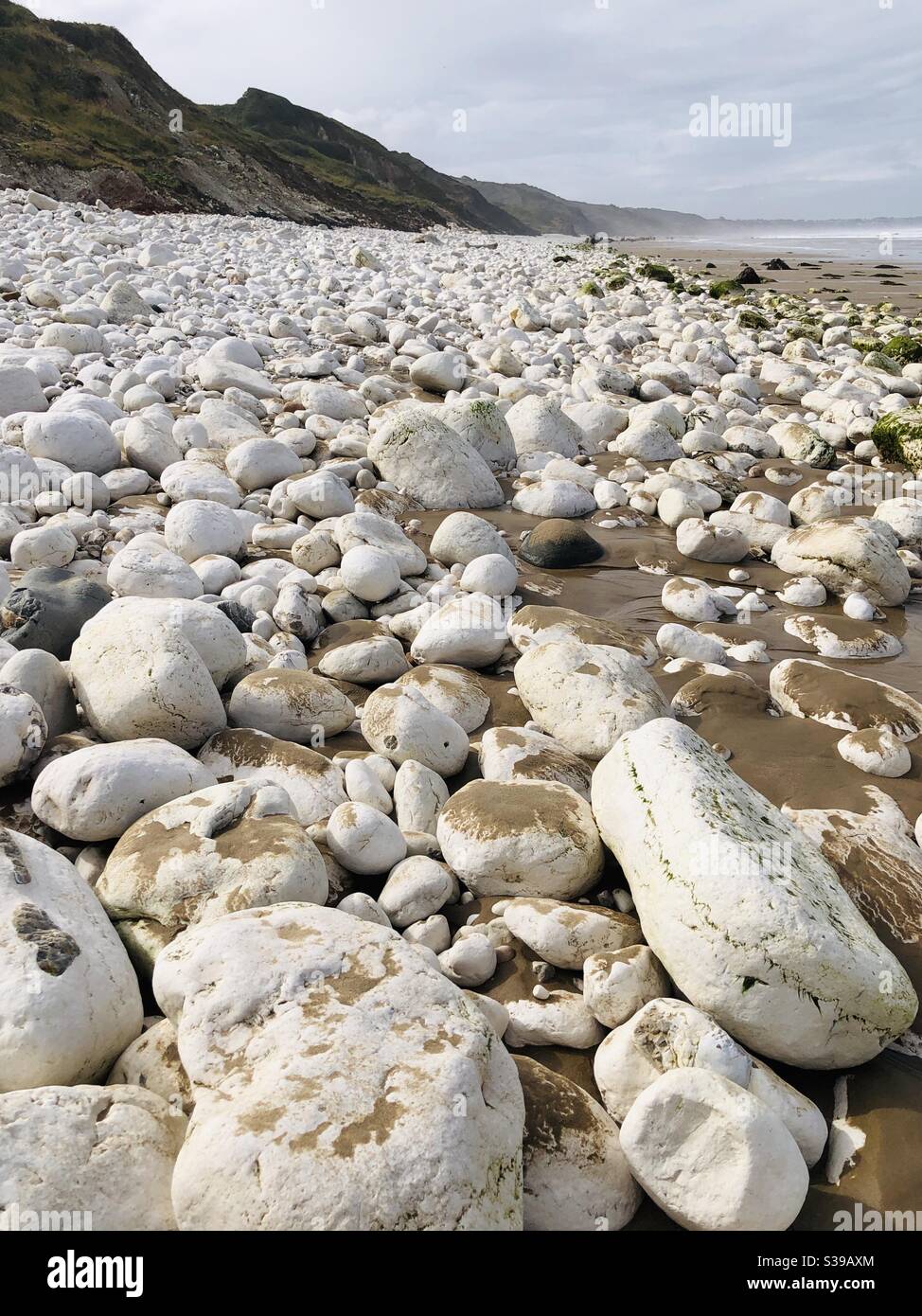 Rochers blancs sur une plage près des falaises de craie Banque D'Images