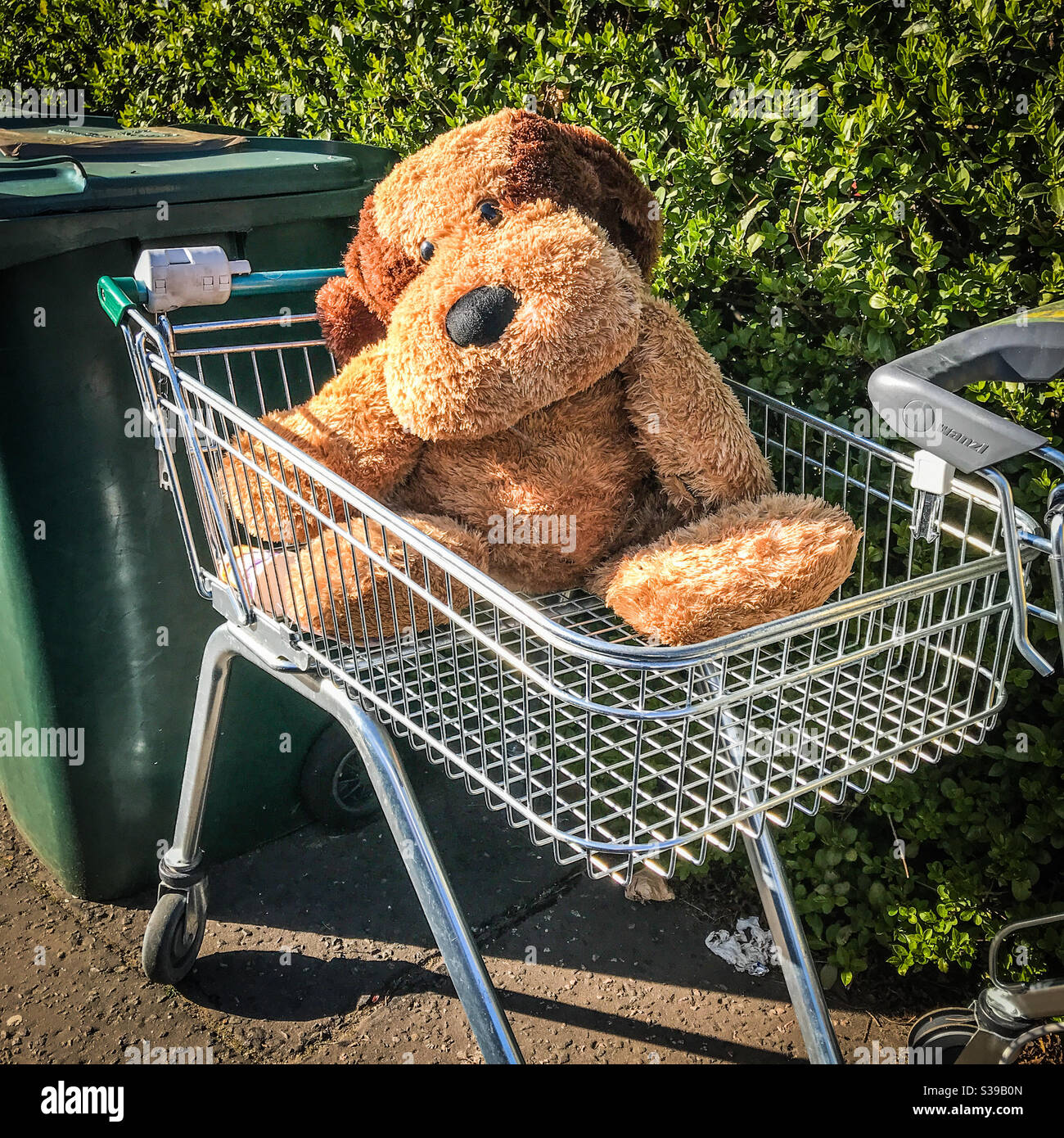 Un jouet mignon abandonné dans un chariot de magasinage Banque D'Images