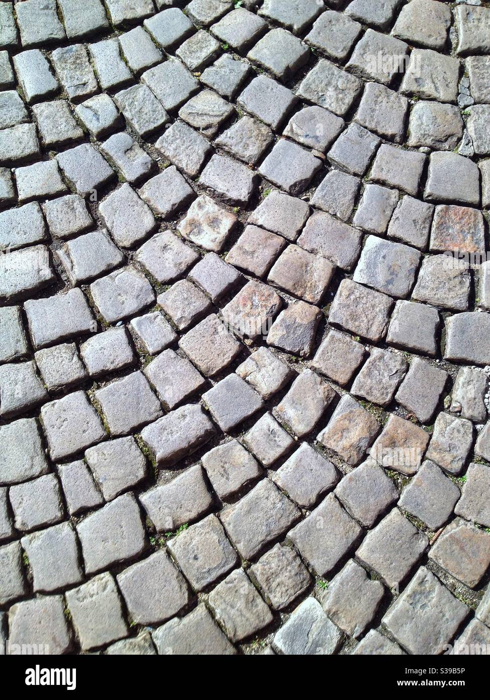Rue pavée dans le centre de Bayonne, Pyrénées Atlantiques, France Banque D'Images