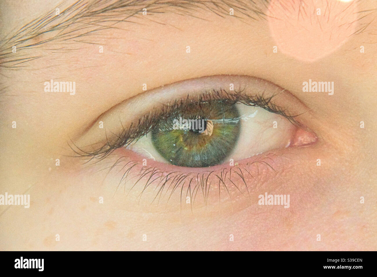 Gros Plan Sur L œil Vert Emeraude Photo Stock Alamy