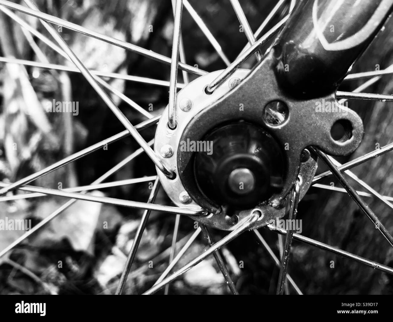 Roue de vélo, rayons de vélo. Gros plan, noir et blanc. Banque D'Images