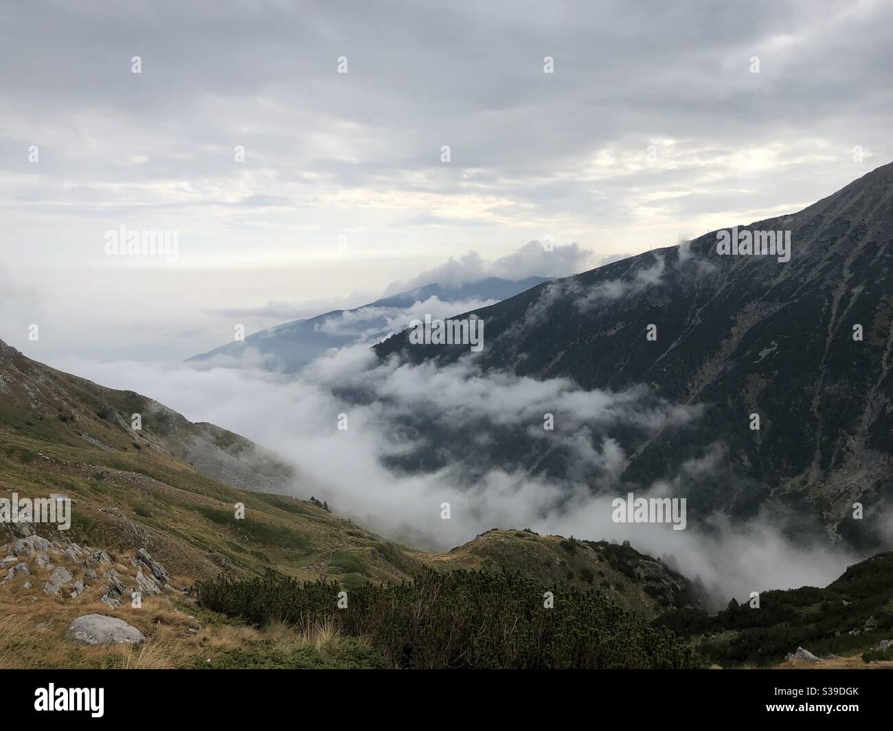 Vue panoramique sur le paysage dans les montagnes bulgares et la pente avec nuages bas et brouillard Banque D'Images