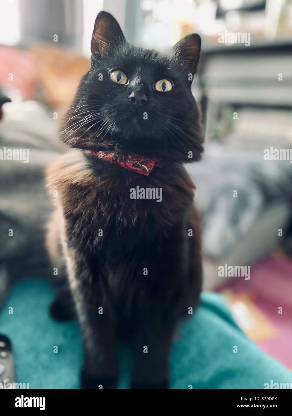 S Il Vous Plait Puis Je Avoir Un Peu Plus Banque De Photographies Et D Images A Haute Resolution Alamy