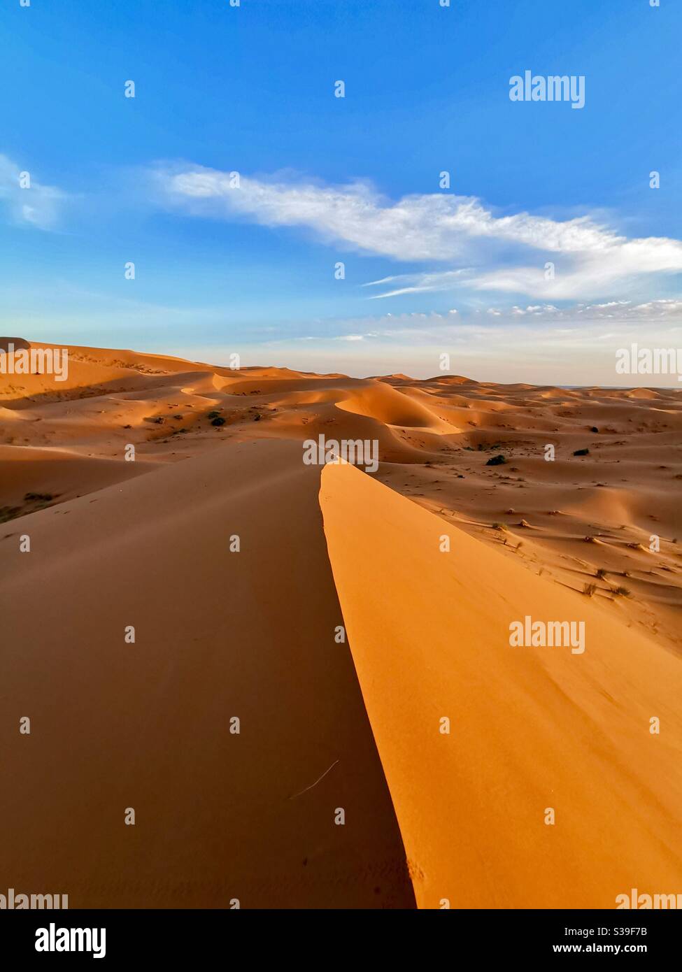 Le magnifique désert du Sahara à Erg Chebbi, au Maroc. - Image de stock capturée avec un smartphone