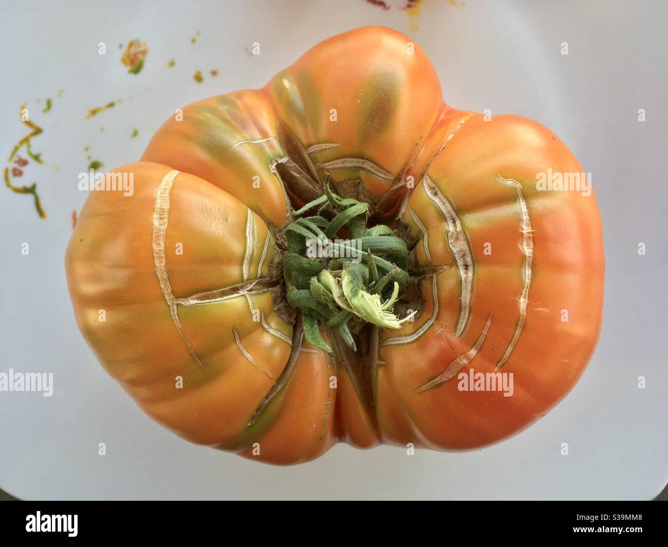 Tomate ananas sur une assiette blanche Banque D'Images