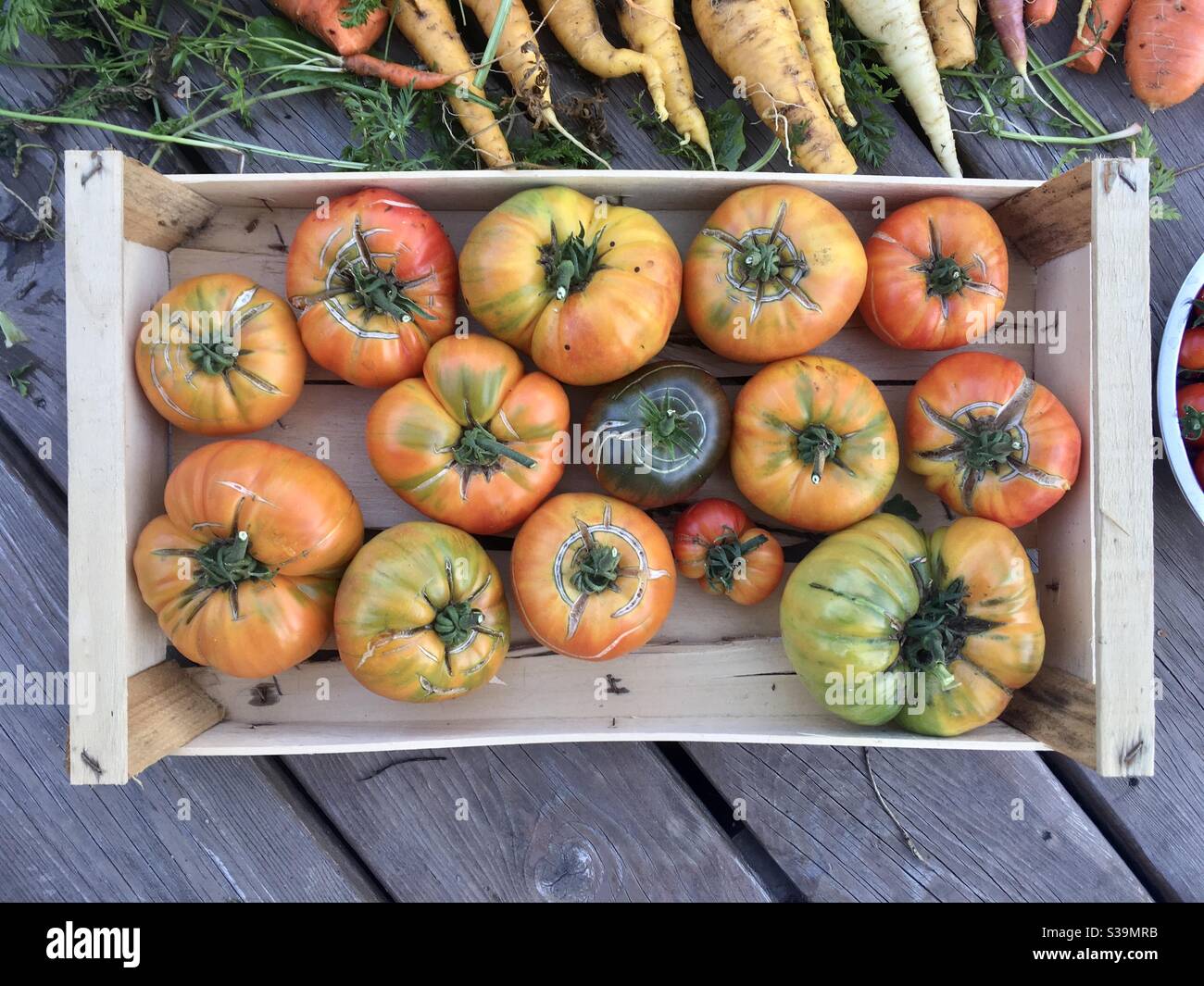 Boîte de tomates biologiques non hybrides ananas du jardin Banque D'Images