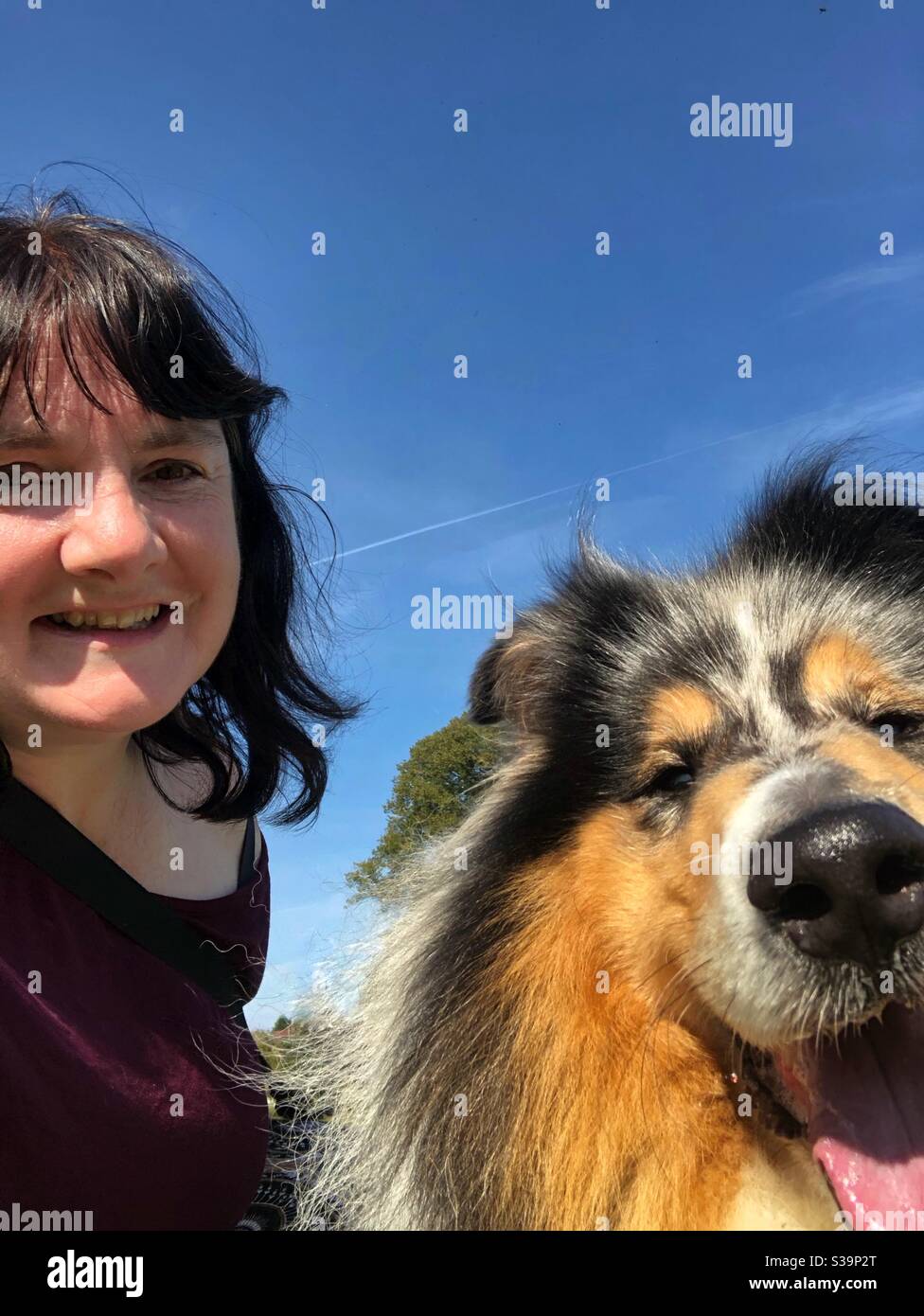 Heureux selfie. Une fille et son chien. Banque D'Images