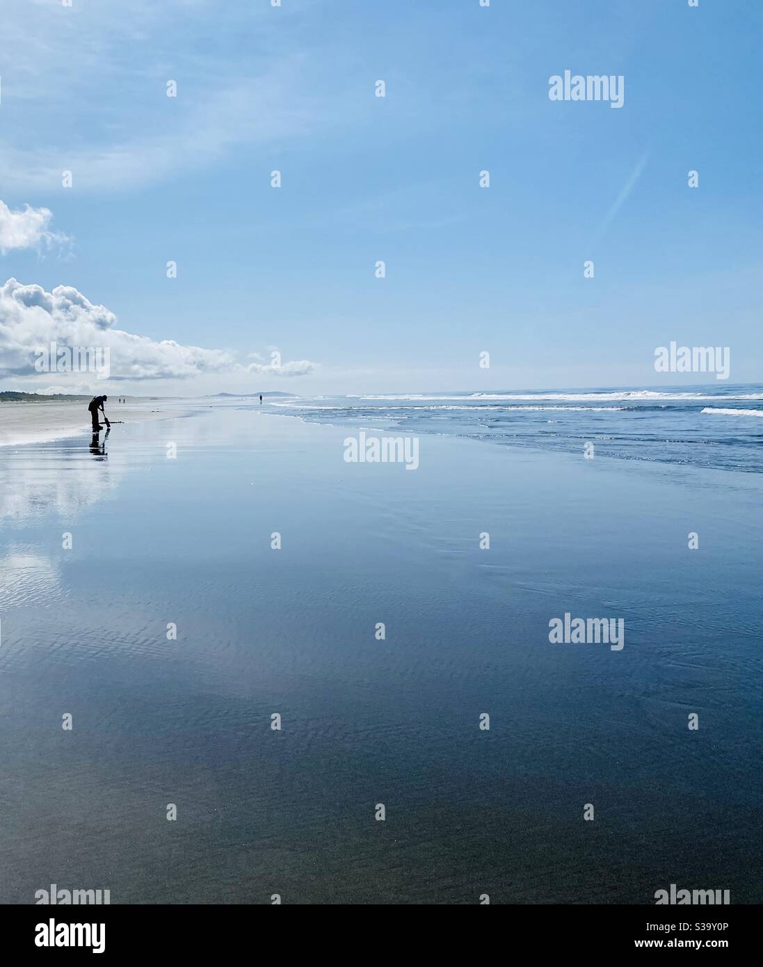 En train de chercher des palourdes de rasoir lors d'une journée calme et ensoleillée à long Beach, Washington, la plus longue plage de sable des États-Unis Banque D'Images
