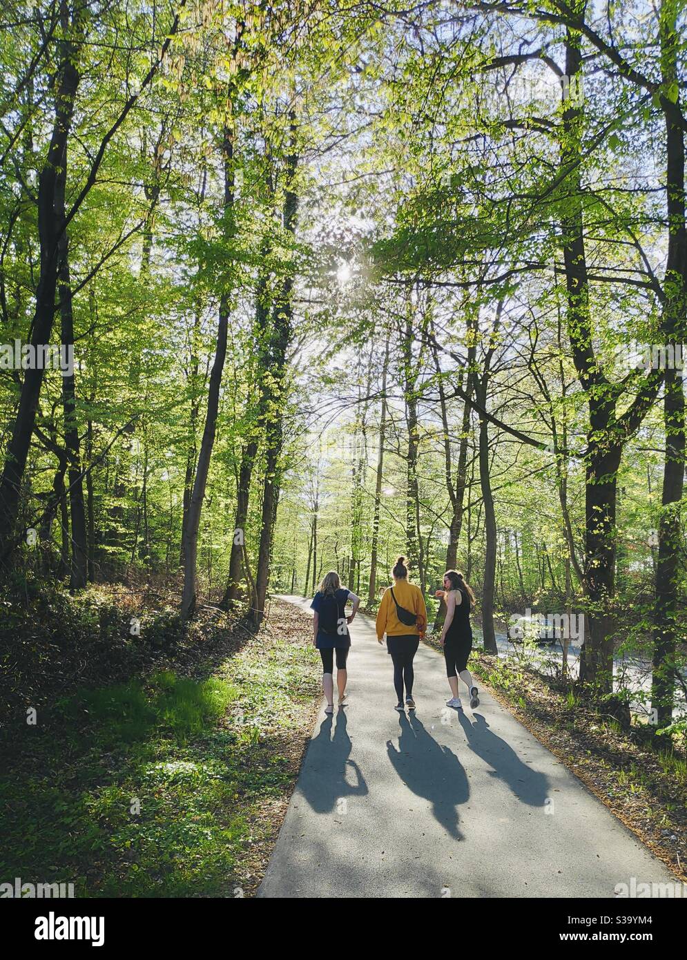 Un clic candid aléatoire, une promenade dans la forêt Banque D'Images