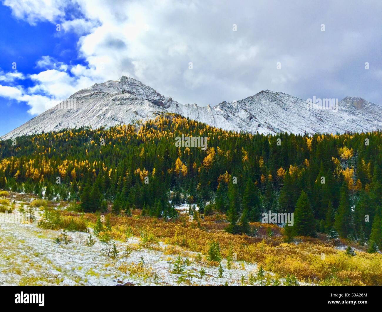 En Alberta, Kananaskis Country, Kananaskis River, Rocheuses canadiennes, couleurs automnales, Highwood Pass, larches alpines - Image de stock capturée avec un smartphone