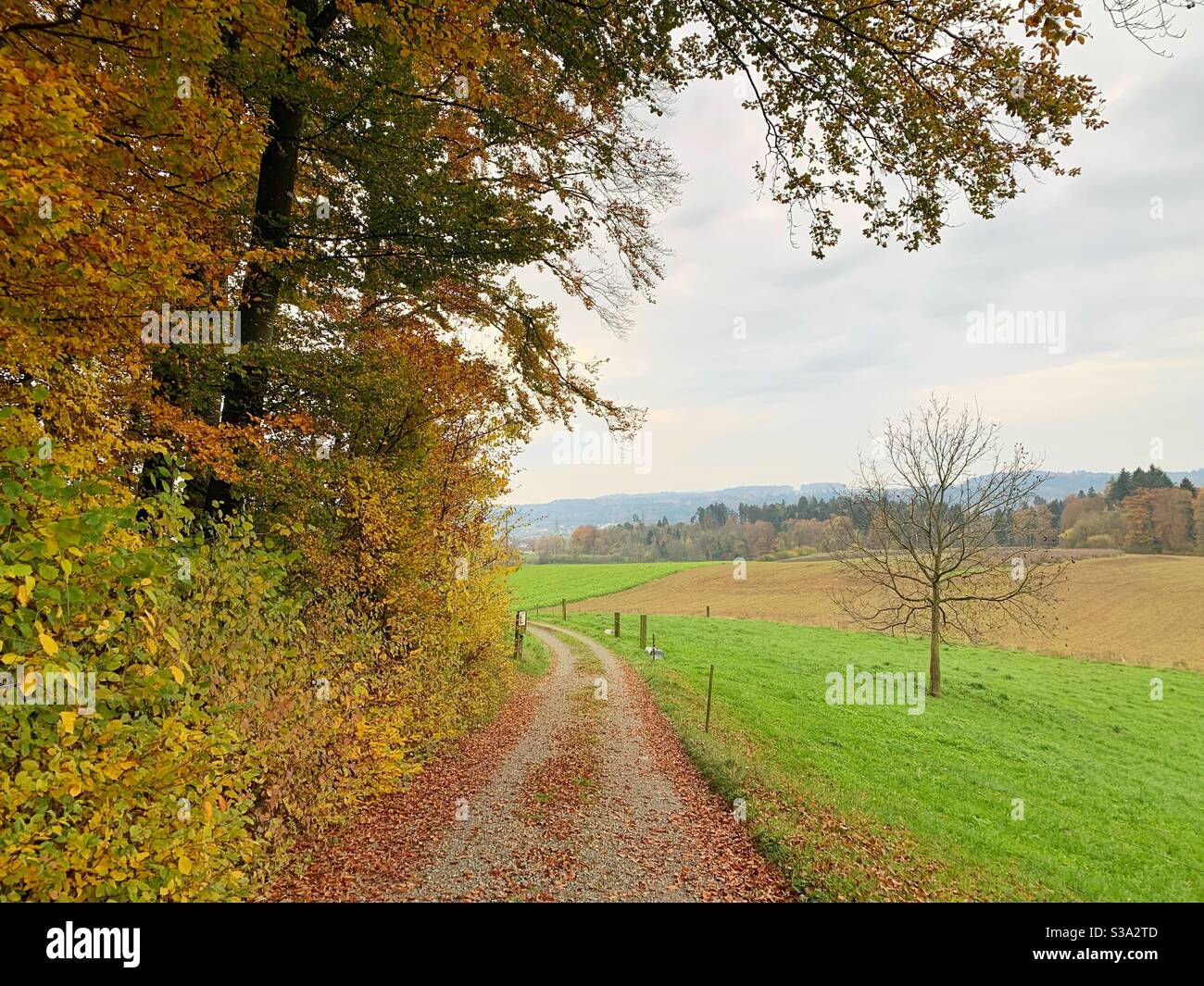 Promenade dans la campagne en automne Banque D'Images