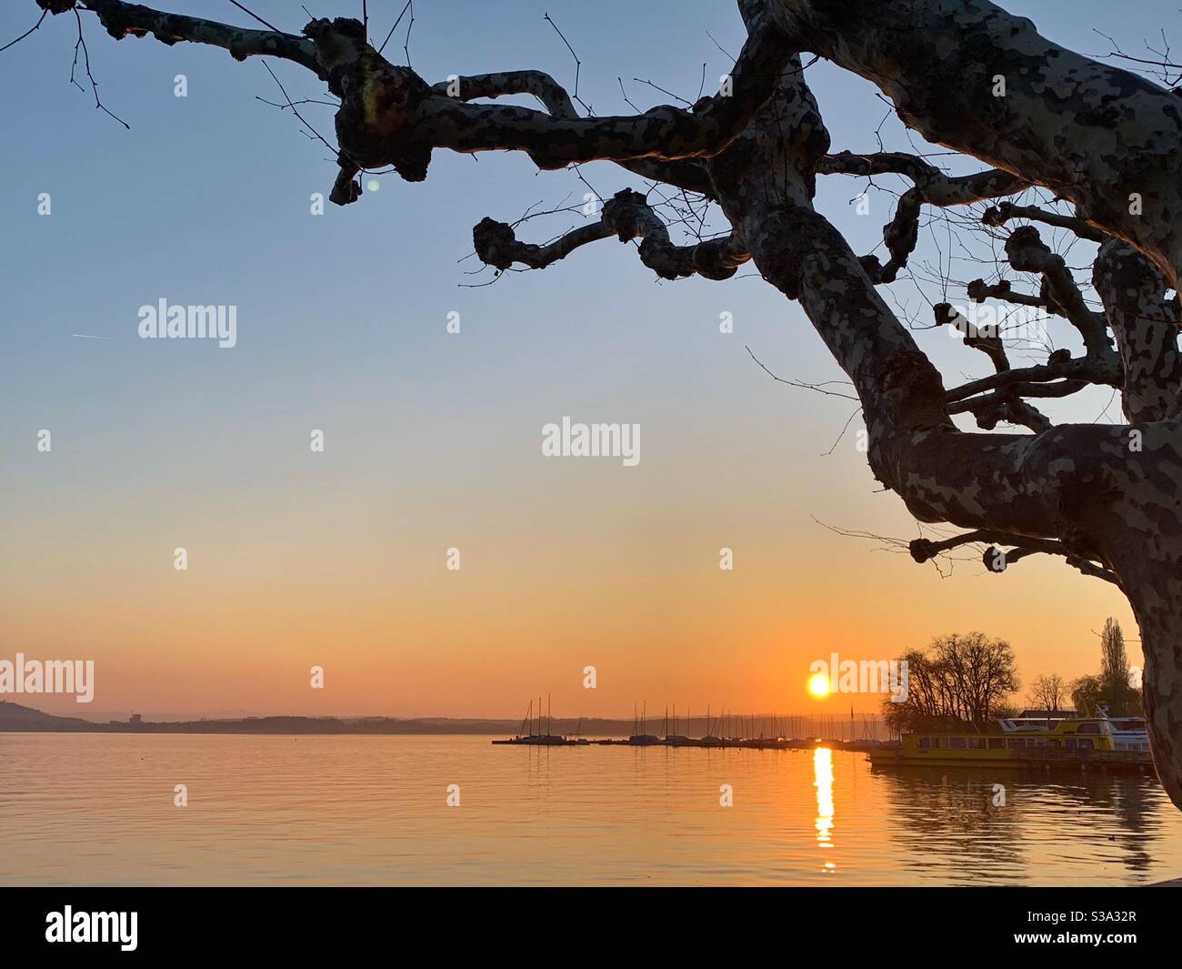 Vue sur le lac au coucher du soleil avec branches d'arbres Banque D'Images