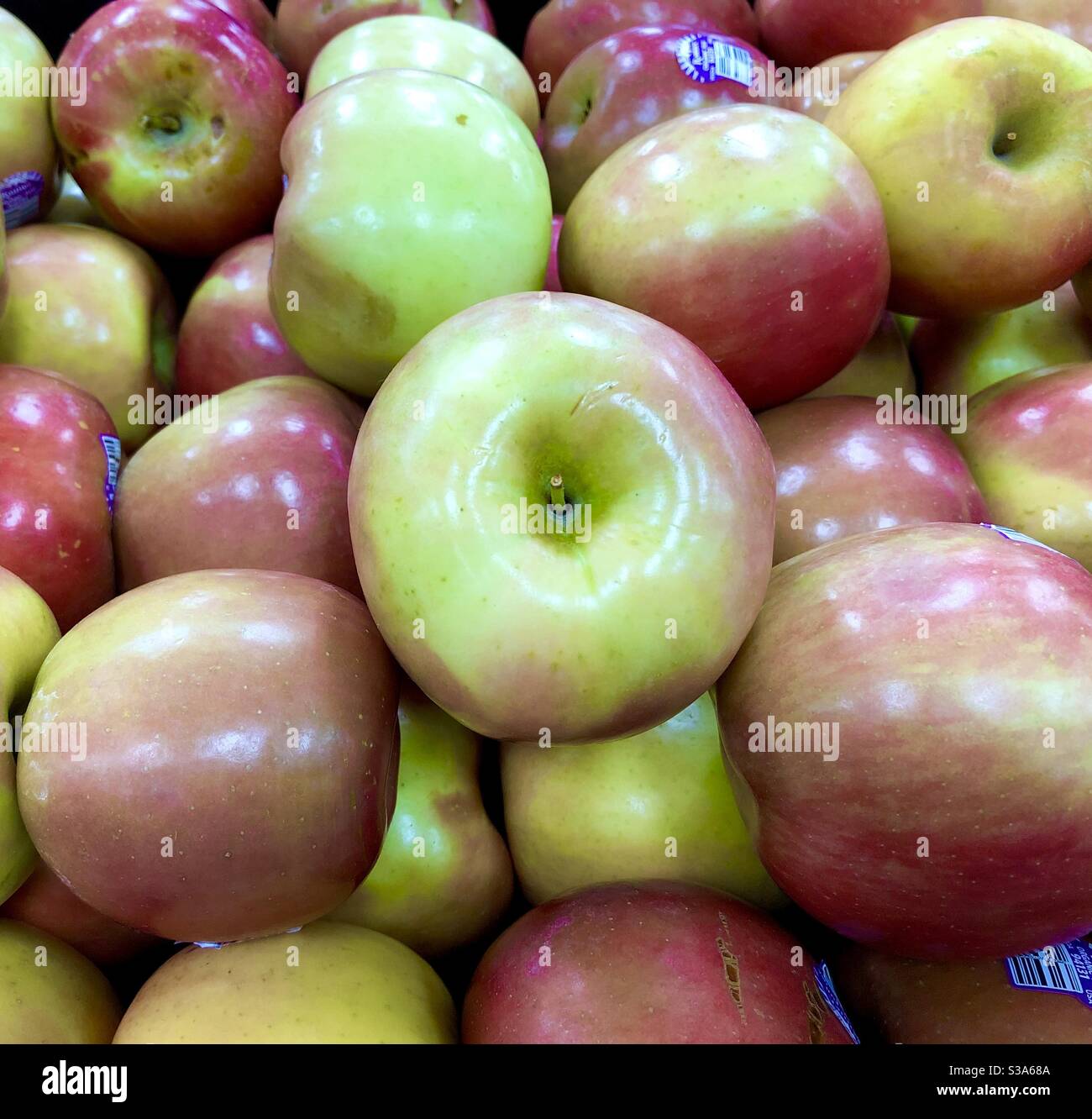 Exposition de pommes Fuji bio dans un magasin d’alimentation biologique, Trader Joe’s. - Image de stock capturée avec un smartphone