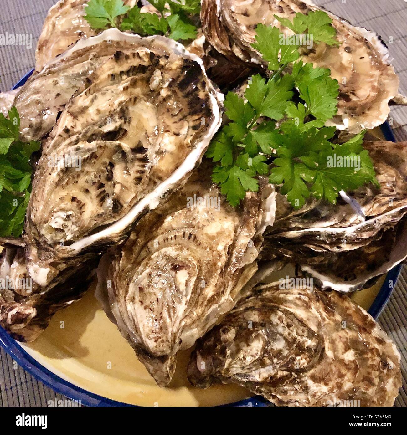 Assiette de grandes huîtres de l'Atlantique pré-ouvertes #2 avec garniture de persil - France. Banque D'Images