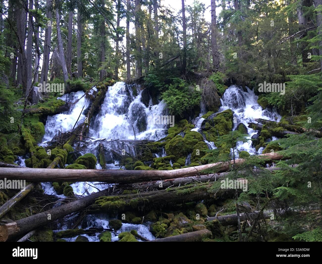 Clearwater Falls Oregon Banque D'Images