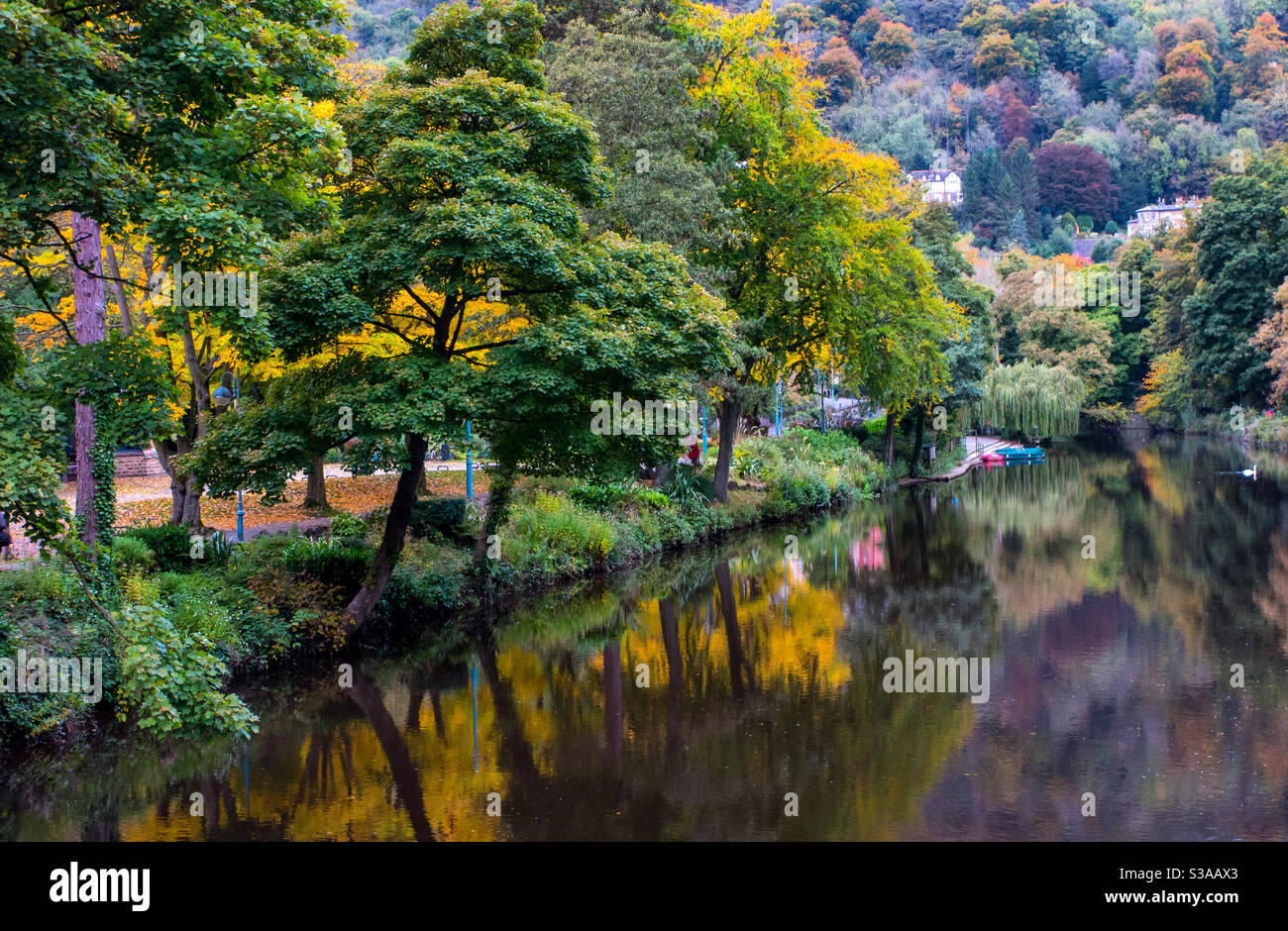 Arbres d'automne se reflétant dans la rivière Derwent à Matlock Bath Dans le Derbyshire Peak District Angleterre Royaume-Uni Banque D'Images