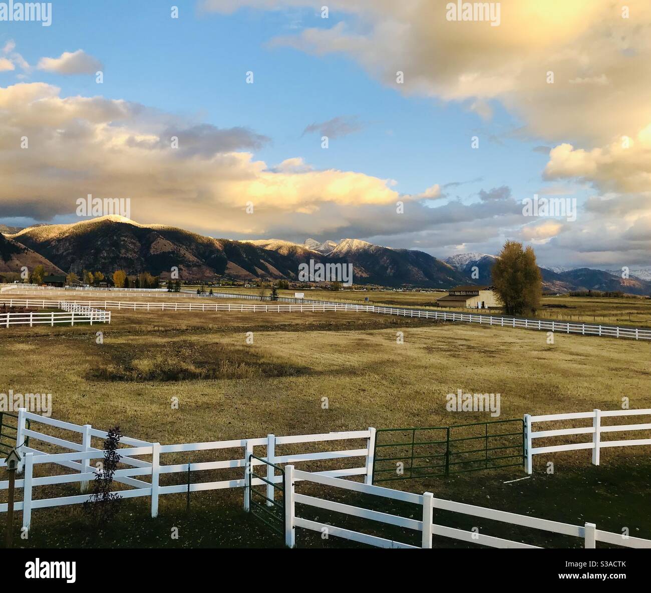 Wyoming États-Unis première chute de neige de l'hiver sur la montagne Hauts des grands Tetons Banque D'Images