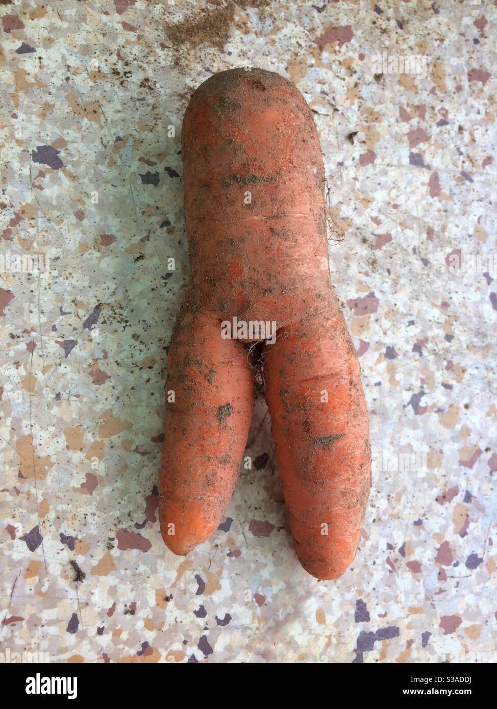 Carotte suggestive - Image de stock capturée avec un smartphone