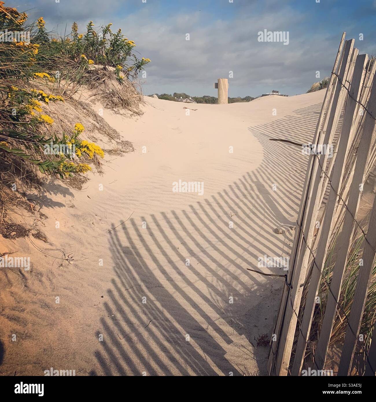 Dune de sable Banque D'Images
