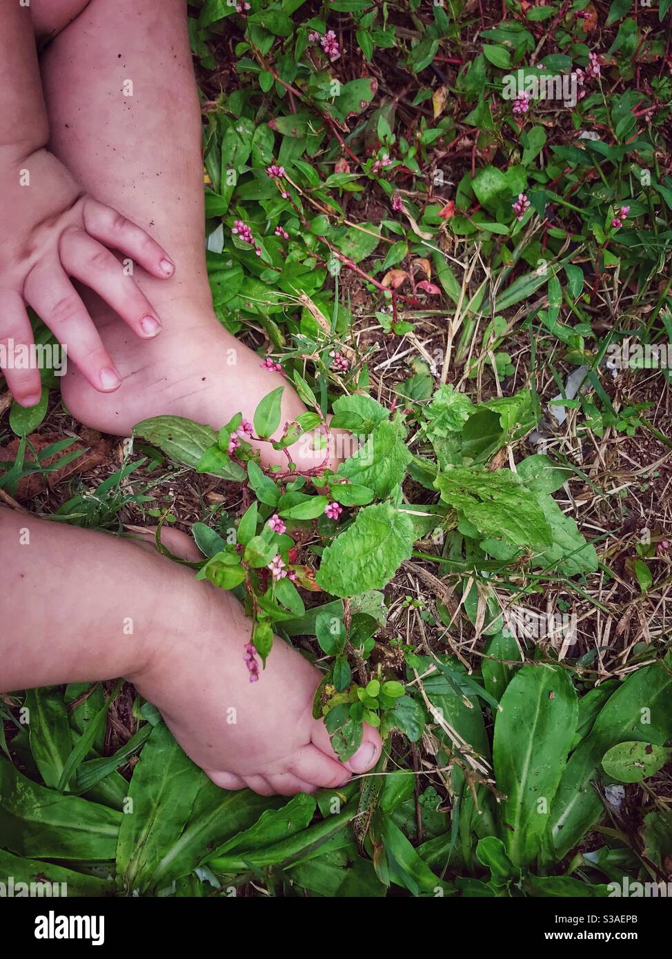 Pieds de bébé Banque D'Images