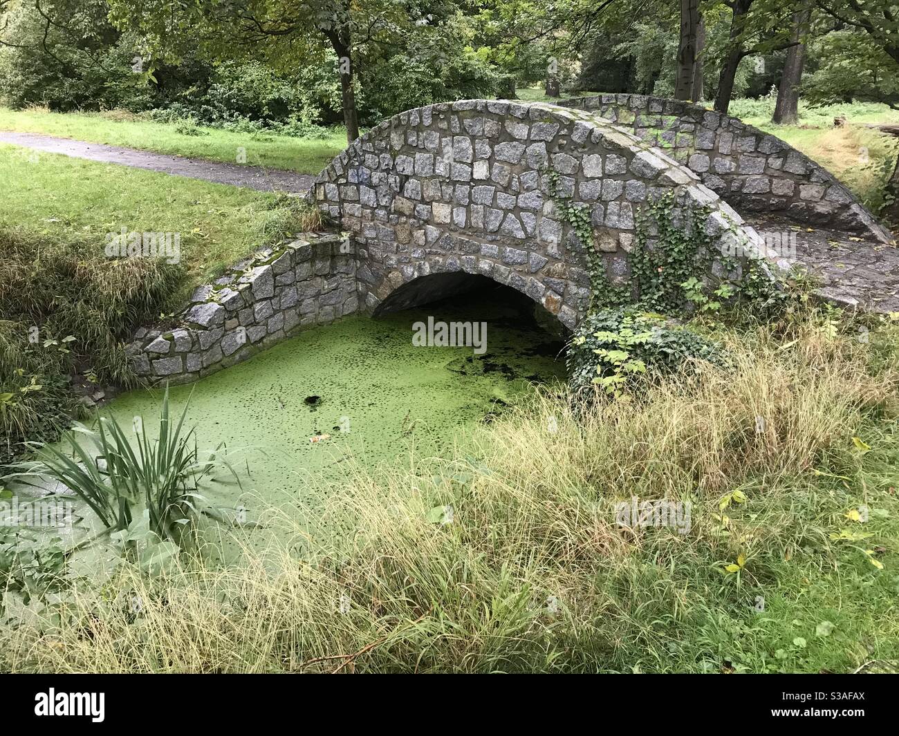 Pont de pierre sur un ruisseau avec eau stagnante Banque D'Images