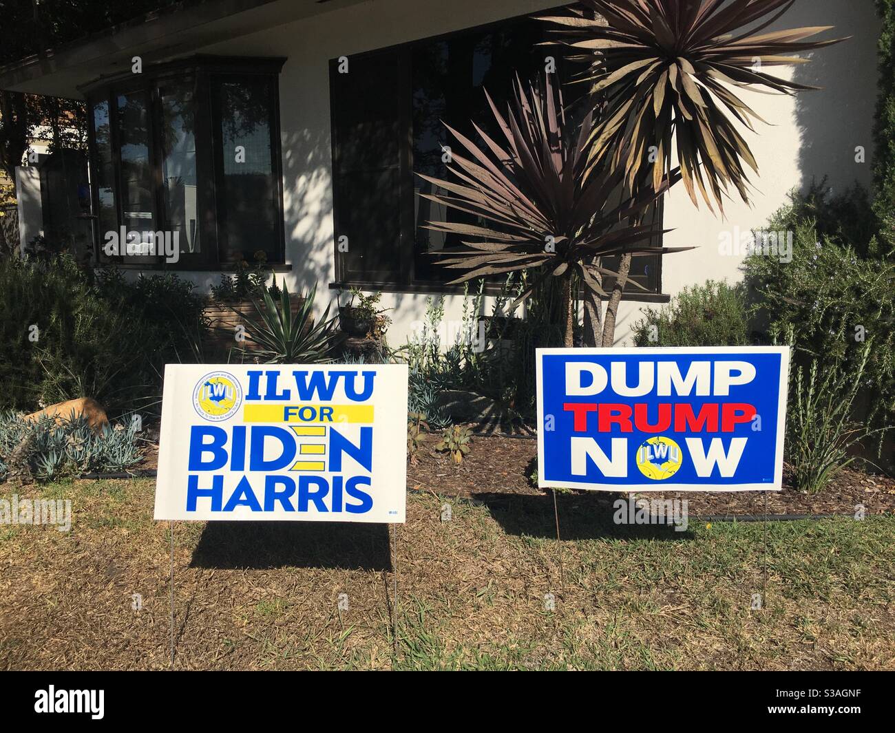 Des panneaux listant l'ILWU pour Biden Harris et Dump Trump maintenant dans une cour avant à long Beach, Californie Banque D'Images